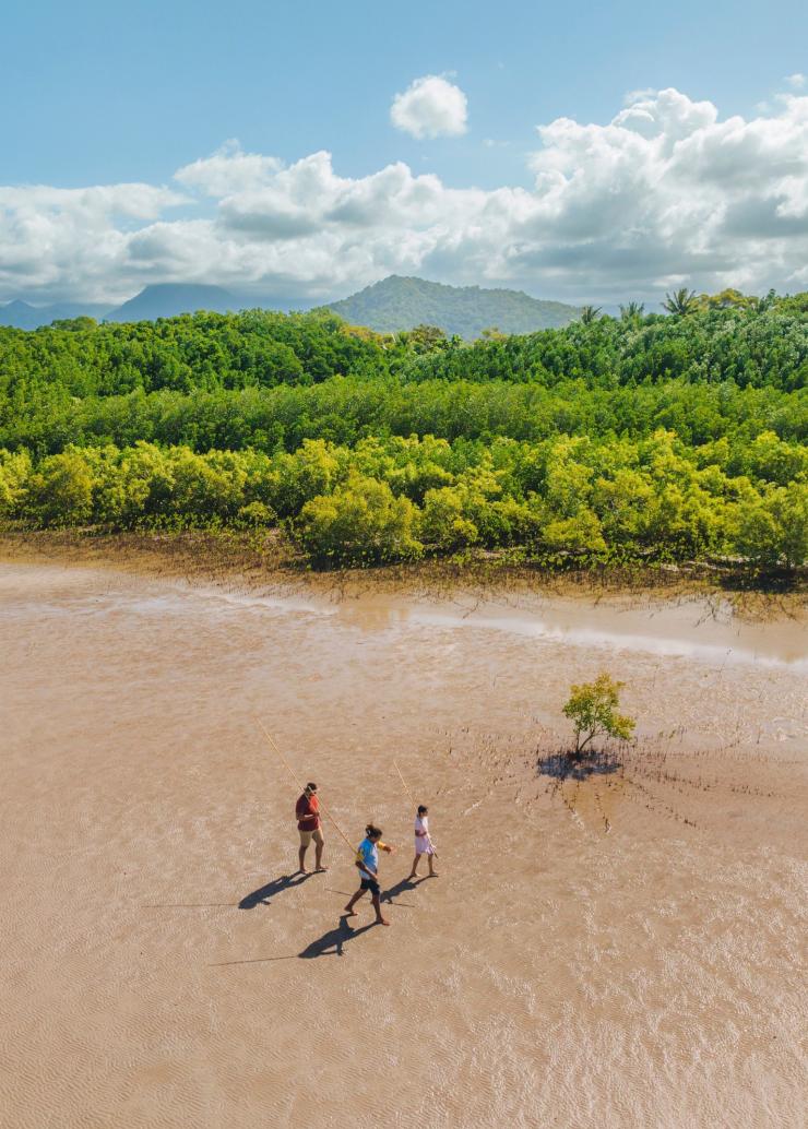 Aerial view over an Aboriginal guide walking with two guests holding spears across mudflats bordered by lush greenery, Walkabout Cultural Adventures, Cooya Beach, Queensland © Tourism Australia