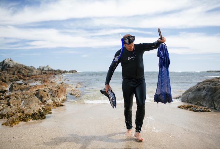 A person wearing a snorkel and wetsuit walking onto the beach from the ocean with a haul of seafood in a bag, Australian Coastal Safaris, Port Lincoln, South Australia © Robert Lang/Australian Coastal Safaris