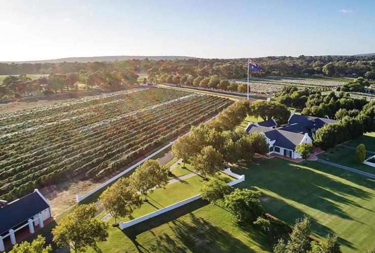 Aerial view over a lush green vineyard, Voyager Estate, Stevens Valley, Margaret River, Western Australia © Voyager Estate