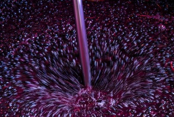 A close up photo shows a fast-moving, bright purple stream of liquid pounding into a large vat of bright purple grapes, Canberra, Australian Capital Territory © Tourism Australia 
