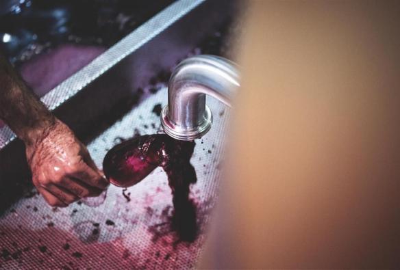 A winemaker holding a wine glass under a gushing tap while they drain a large red wine vat,  Vasse Felix, Australia’s South West, Western Australia © Vasse Felix
