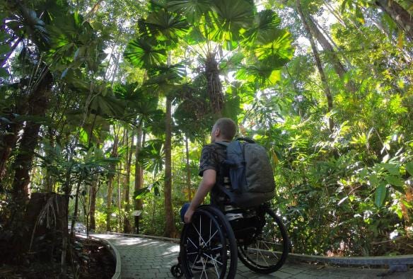 Man in a wheelchair along a path in the Daintree Rainforest, Queensland © Tourism and Events Queensland