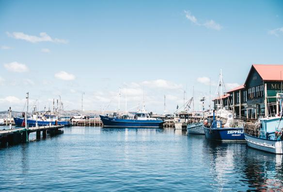 A collection of small boats floating on Hobart Harbour, Hobart, Tasmania © Tourism Australia