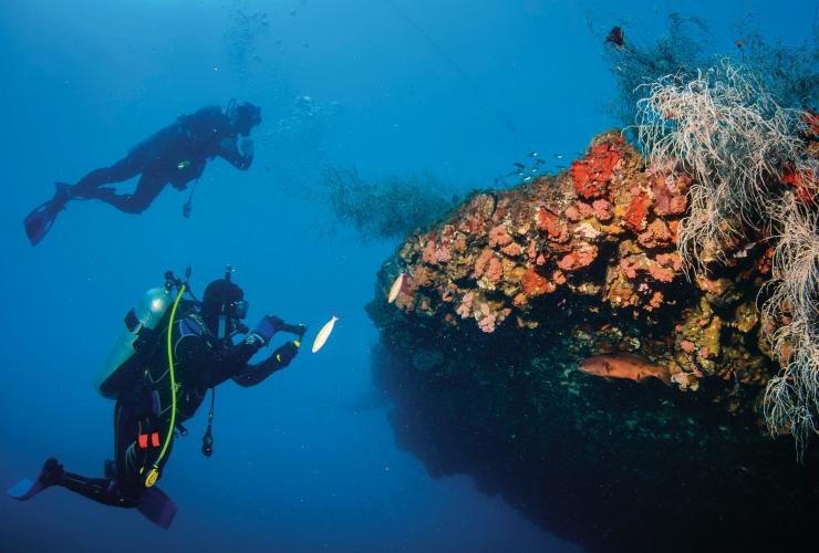 Yongala Shipwreck, Great Barrier Reef, Queensland © Tourism and Events Queensland