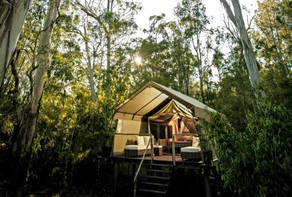 Paperbark Camp, Jervis Bay, New South Wales © Paperbark Camp