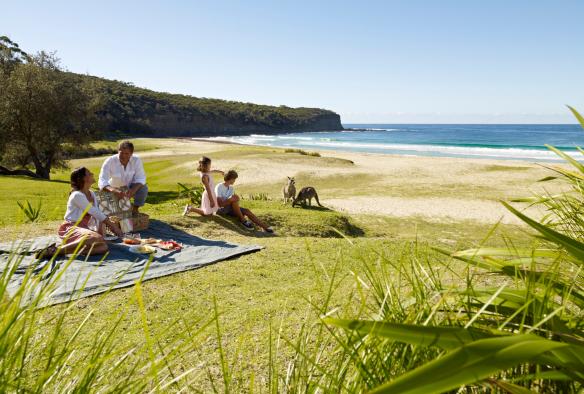 Pebbly Beach, South Coast, New South Wales © Tourism Australia