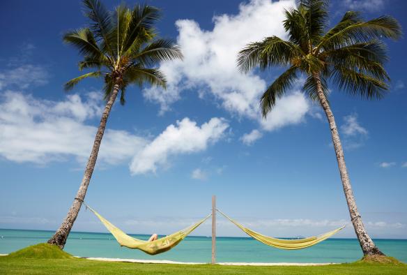 A person relaxing in one of two hammocks between palm trees overlooking the clear blue coastline of Orpheus Island at Orpheus Island Lodge, Queensland © Tourism Australia