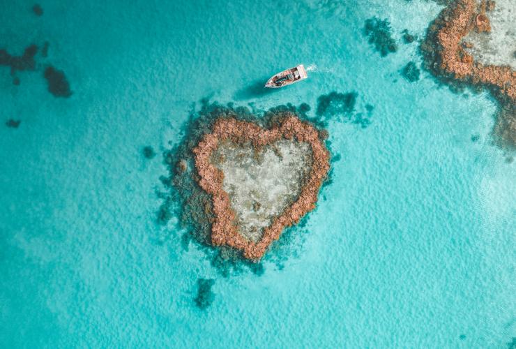 Aerial view over boat cruising next to a heart shaped reef, Heart Reef, Whitsundays, Queensland © Tourism Australia
