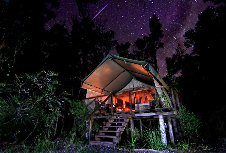A luxurious glamping tent elevated with a balcony surrounded by trees with the night sky filled with stars in the background at Paperbark Camp, Jervis Bay, New South Wales © Hutchings Camps