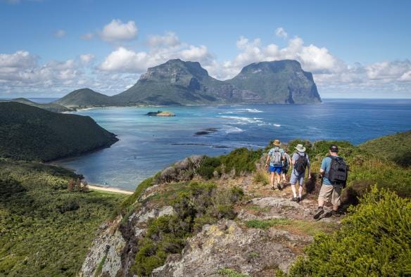 Seven Peaks Walk by Pinetrees, Lord Howe Island, NSW © Luke Hanson
