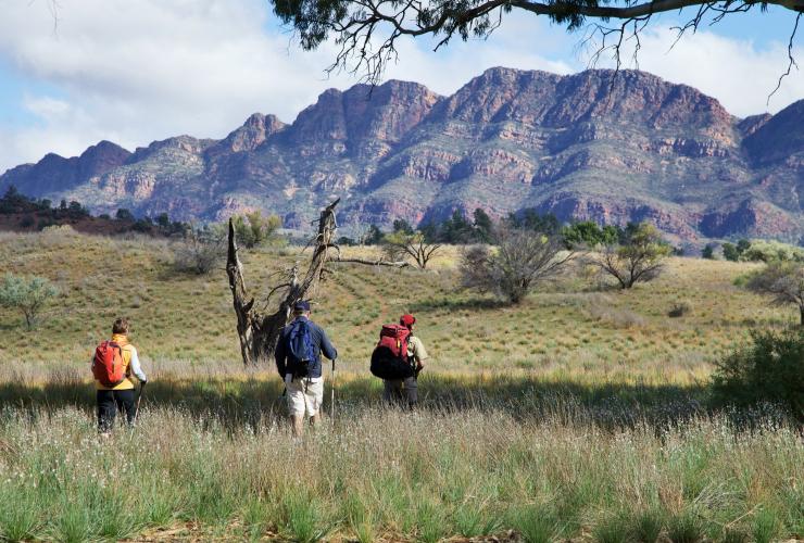 Great Walks of Australia, The Arkaba Walk, Flinders Ranges, SA © Wild Bush Luxury