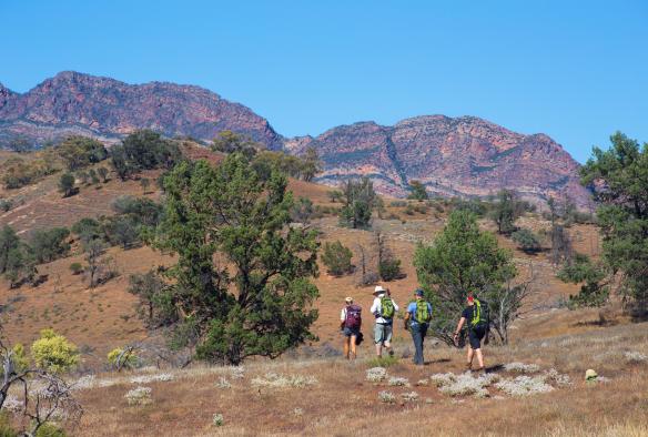 The Arkaba Walk, Elder Range, Flinders Ranges, SA © Wild Bush Luxury / Great Walks of Australia
