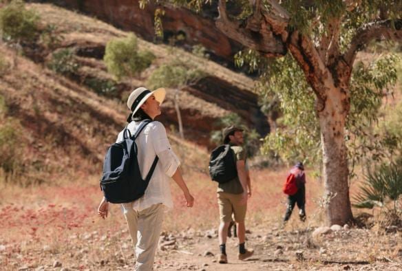 A group of people looking up towards trees while hiking on the Bungle Bungle Range, Purnululu National Park, Western Australia © Tourism Western Australia 