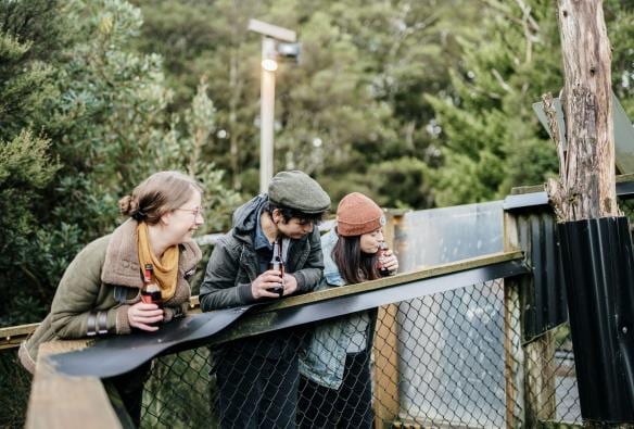 Visitors looking for Tasmanian devils at Devils @ Cradle, Cradle Mountain, Tasmania © Tourism Australia