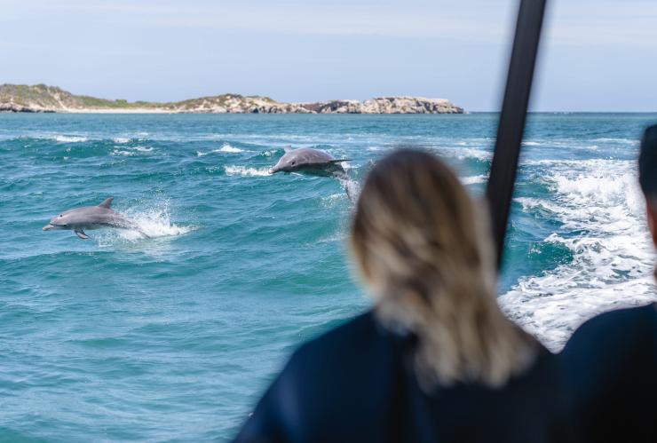 People on a boat watching dolphins leap from the ocean, Perth Wildlife Encounters, Perth, Western Australia © Tourism Australia