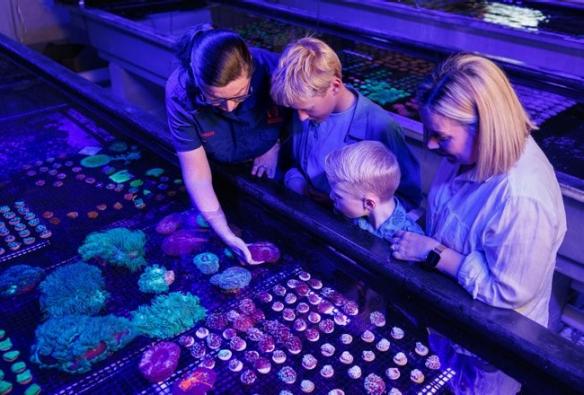 Family admiring coral samples with Monsoon Aquatics Coral Farm Tours, Bundaberg, Queensland © Monsoon Aquatics Coral Farm Tours