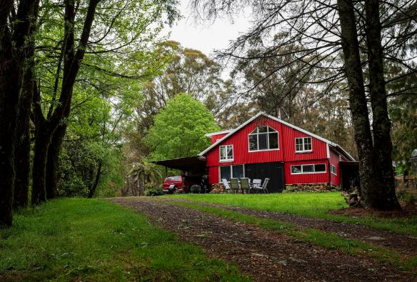 barn at the end of a driveway at Red Shed Farmstay, Dorrigo, New South Wales © Red Shed Farmstay