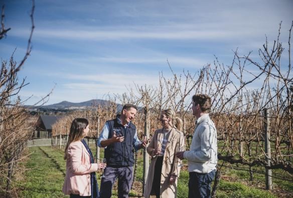 Guided tour outside in the vineyard at Orange, New South Wales © Tourism Australia