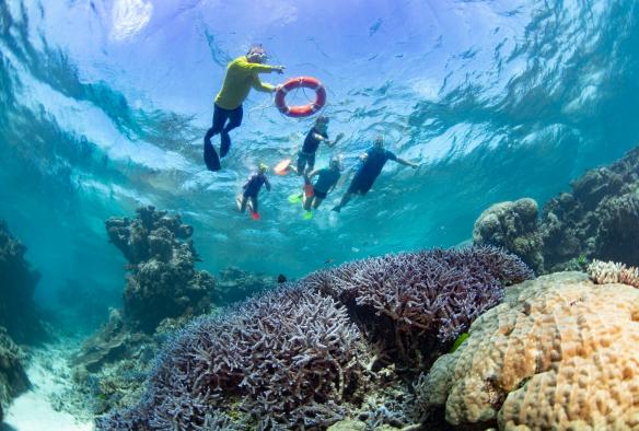 Dreamtime Dive and Snorkel, Cairns, Queensland © Tourism and Events Queensland