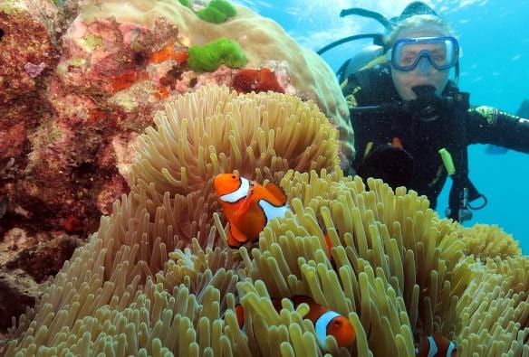 Poseidon Cruises, Agincourt Reef, Great Barrier Reef, Queensland © Quicksilver Group