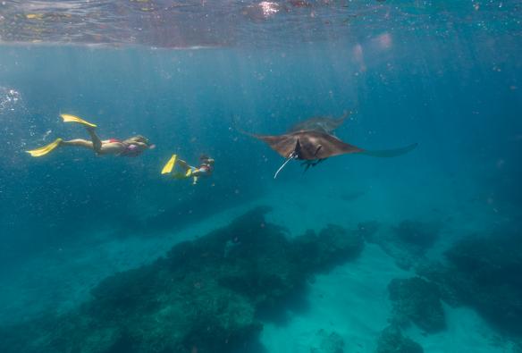 Coral Bay, Ningaloo Reef, Western Australia © Tourism Western Australia 