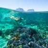 Lord Howe Island, NSW © Trevor King, Destination New South Wales