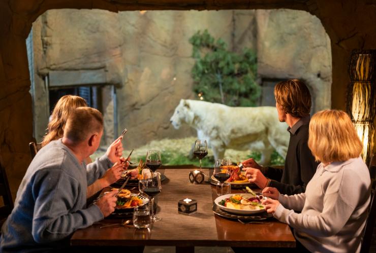 A group of people eating dinner while looking through a window into a lion enclosure, with a lion standing nearby at Jamala Wildlife Lodge, Canberra, Australian Capital Territory © Tourism Australia