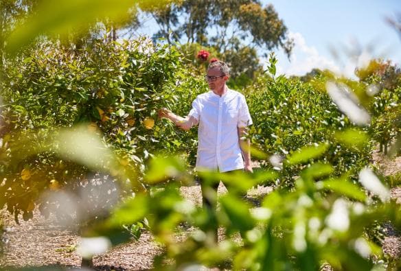 Head Chef Dan Hunter roaming kitchen gardens at Brae, Birregurra, Victoria © Tourism Australia