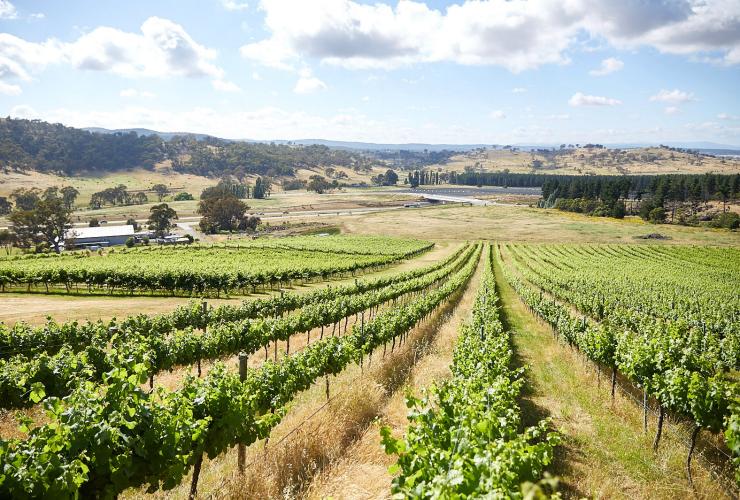 Canberra District Wine Region, ACT © VisitCanberra