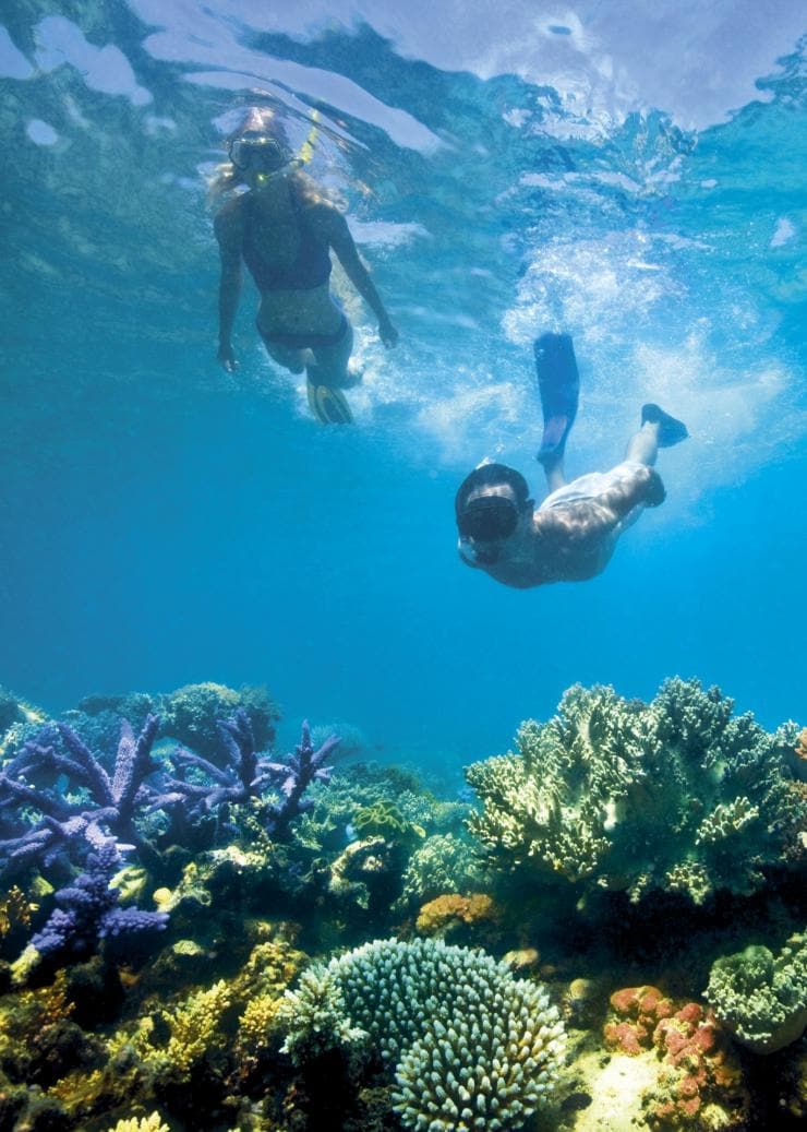 Lizard Island, Great Barrier Reef, QLD © Delaware North Companies