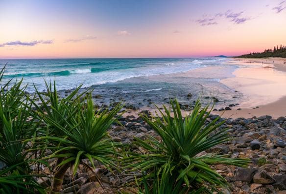 Noosa National Park, Noosa Heads, Queensland © Tourism Australia