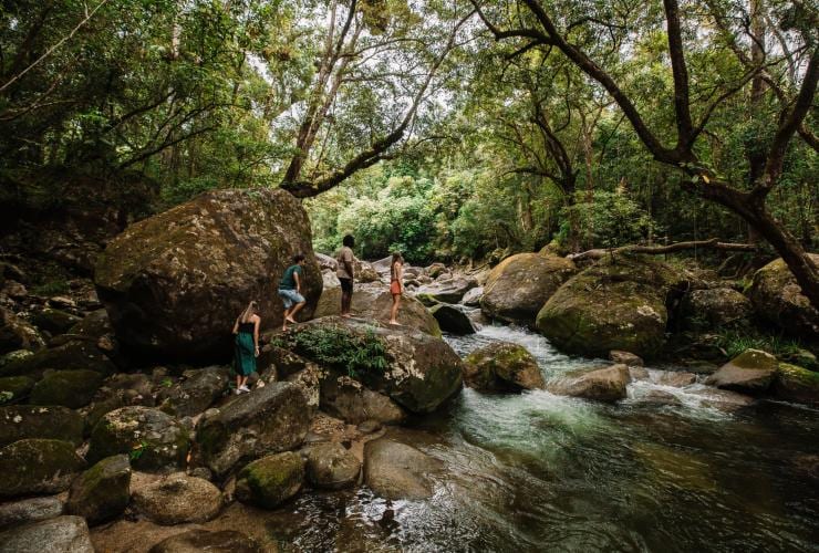 Dreamtime Walk aux Gorges de Mossman, Daintree National Park, QLD © Tourism and Events Queensland