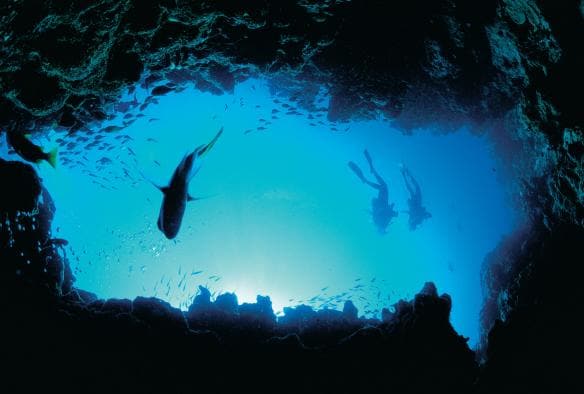 Plongée, Ningaloo Reef, Australie Occidentale © Tourism Western Australia
