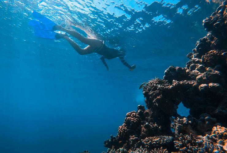 Plongée avec masque et tuba, Rowley Shoals, Australie Occidentale © Tourism Australia