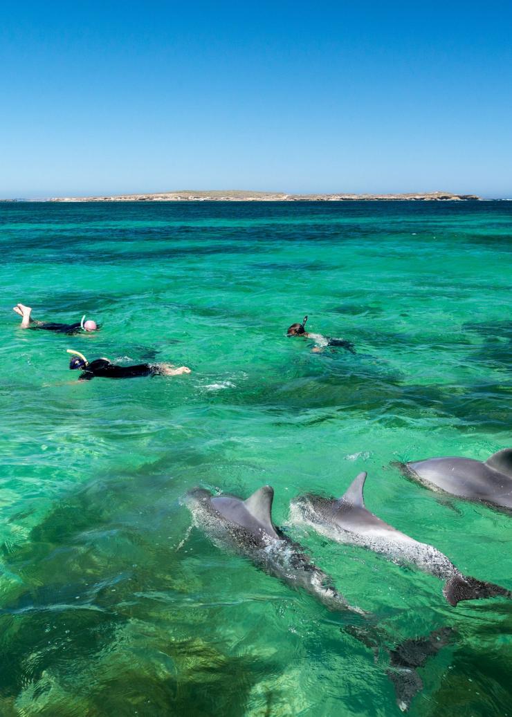 Baird Bay Ocean Eco Experience, Eyre Peninsula, Australie du Sud © John Montesi