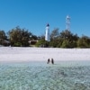 Lady Elliot Island, Grande Barrière de Corail, QLD © Tourism and Events Queensland