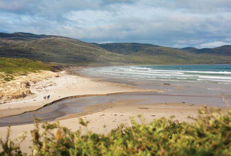 Un groupe de personnes en train de marcher sur une plage reculée entourée de collines verdoyantes pendant le Bruny Island Long Weekend, Bruny Island, Tasmanie © Tourism Tasmania/Bruny Island Long Weekend 