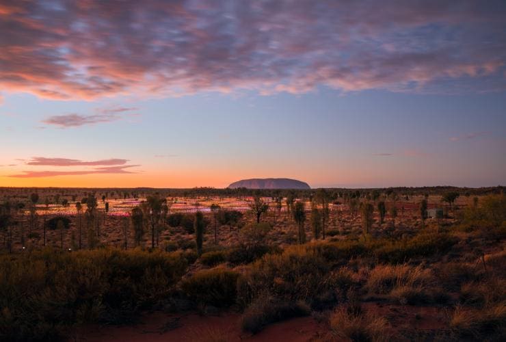 Coucher du soleil dans l'arrière-pays australien, avec une installation artistique lumineuse au premier plan et un immense monolithe rocheux se dressant au loin au Field of Light, Uluru-Kata Tjuta National Park, Territoire du Nord © Daniel Tran 