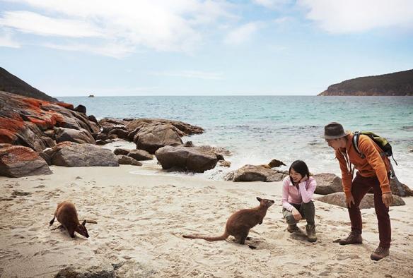 Wineglass Bay, Freycinet National Park, Tasmanie © Tourism Australia