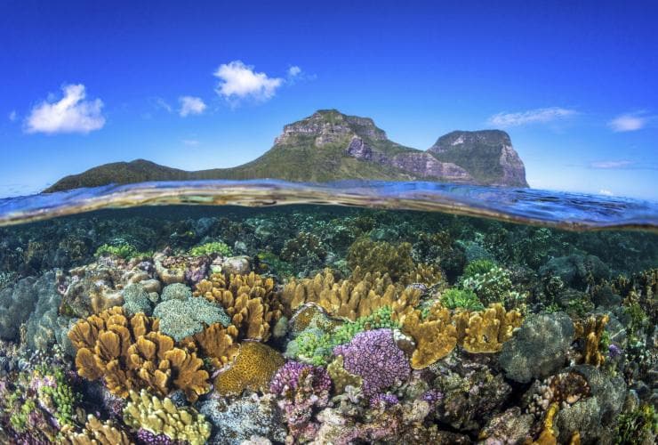 Lord Howe Island, Nouvelle-Galles du Sud © Jordan Robins