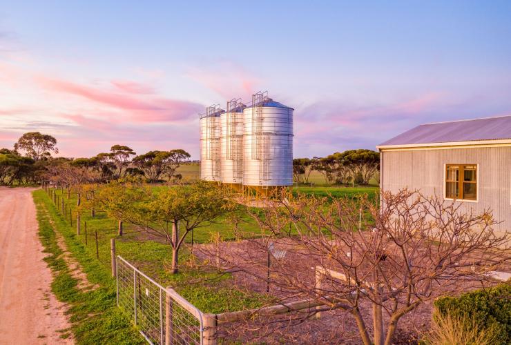 Vue aérienne de silos et d'une grande à Redwing Farm, Yorke Peninsula, Australie du Sud © @skyhighfilmandphoto 