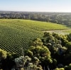 Aerial view over a lush green vineyard, Voyager Estate, Stevens Valley, Margaret River, Western Australia © Tourism Australia