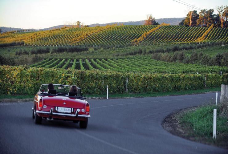 Une voiture de sport rouge roulant le long des vignobles, Touring Tamar Valley Wine Route, Kayena, Tasmanie © Tourism Tasmania/Tamar Valley Wine Route
