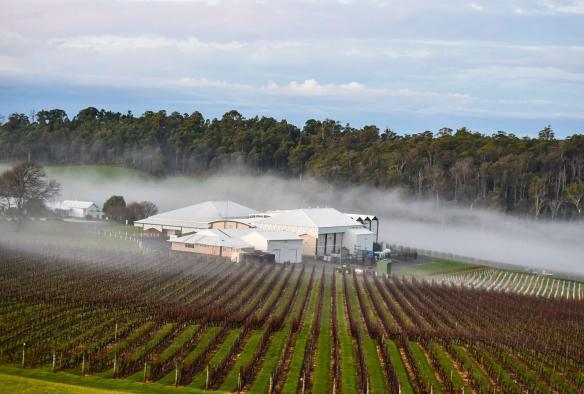 Une cave dans un vignoble sous un ciel bas et nuageux, House of Arras estate, Tamar Valley, Tasmanie © House of Arras