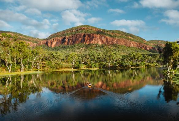 Une personne à bord d'un kayak naviguant sur une eau calme entourée d'arbres et de montagnes rocheuses lors d'une journée ensoleillée au Mt Mulligan Lodge, Mount Mulligan, Queensland © Mount Mulligan Lodge