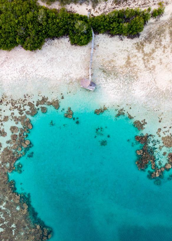 Haggerstone Island, Grande Barrière de Corail, Queensland © Tourism and Events Queensland