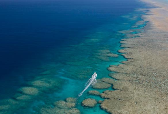 Pour une session de plongée avec masque et tuba hors du commun sur le récif extérieur d'un atoll de corail, rejoignez Rowley Shoals, WA © True North