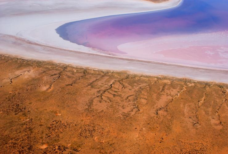 Vue aérienne d'une extrémité du lac avec l'eau rose aux teintes violacées et les rives sablonneuses du Kati Thanda-Lake Eyre, arrière-pays d'Australie du Sud © South Australian Tourism Commission