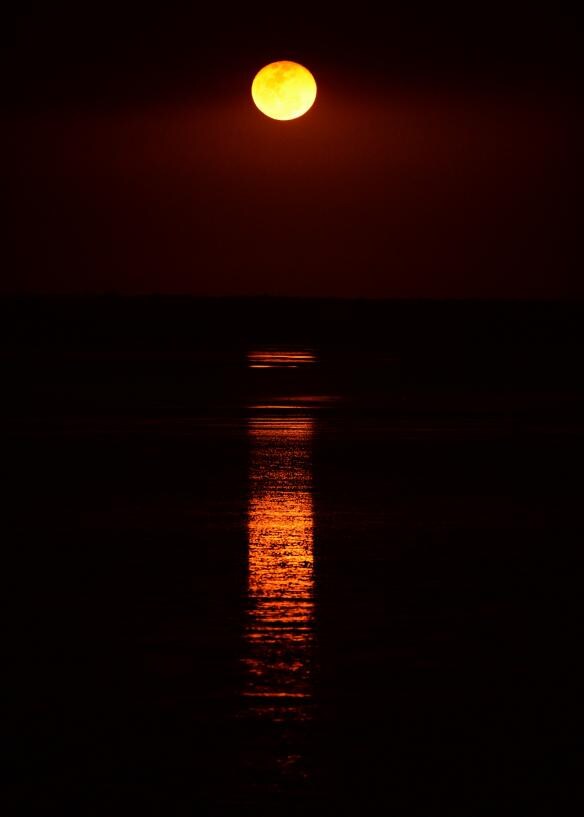 Staircase to the Moon, Broome, Australie Occidentale © James Morgan and Australia's North West Tourism
