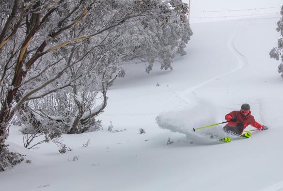Mount Hotham, VIC © Karl Gray Media